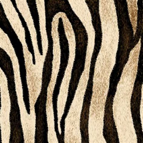 Siser EasyPatterns HTV Wild Zebra Rainbow Vinyl Co