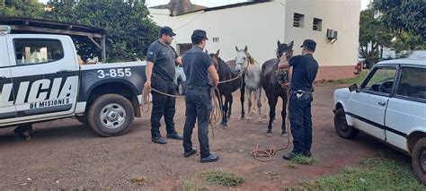 En Misiones Se Redujeron Significativamente Los Delitos En Zonas Rurales