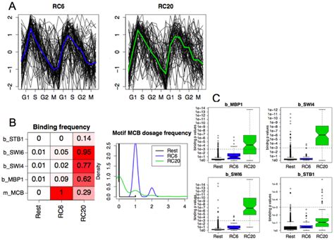 Comparisons Of RC6 And RC20 Uncovered In Yeast Cell Cycle Data By Cho