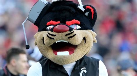 Cincinnati Bearcat mascot stiff-arms 4th-graders at Bengals halftime