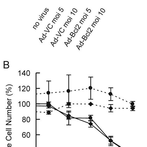 A Western Blot Analysis Of Bcl 2 Expression In The C Myc Expressing Download Scientific