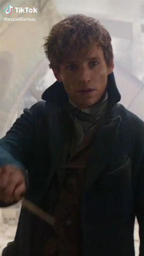 Newt Edit Video In 2024 Harry Potter World Scamander Newt Scamander