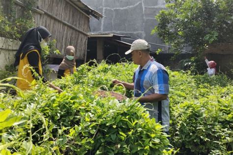 Pemanfaatan Pekarangan Untuk Menopang Ketahanan Pangan Keluarga