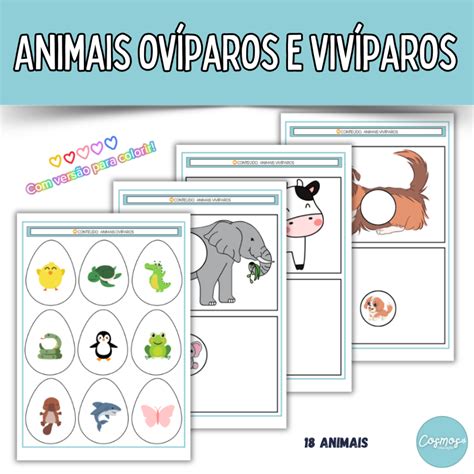 Animais Viviparos E Oviparos - 6