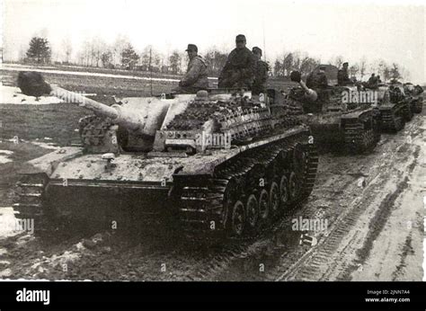 Photo Du B W De La Seconde Guerre Mondiale Sturmgeschuetz Allemand Sur