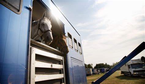 Horse Trailer Types - Materials, Entrance Options & Hitches - Helpful Horse Hints