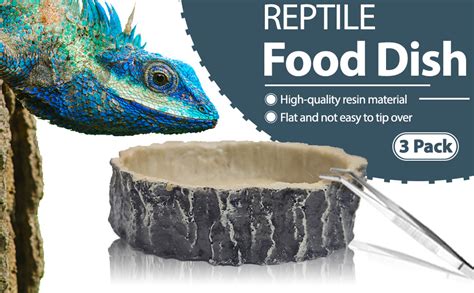 Amazon Hamiledyi Pack Reptile Water Dish Food Bowl Set Resin