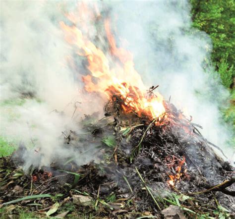 Brûler les déchets verts une pratique encadrée La Moselle Agricole