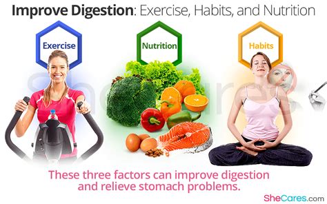 How To Improve Digestion Economicsprogress5