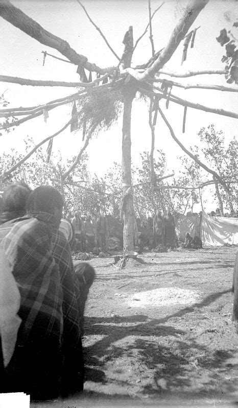 Ceremony, Sun Dance 1893. | Native american photos, Native american history, Native american ...