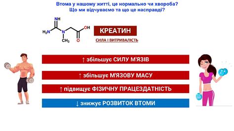 Що таке креатин і для чого він потрібен?