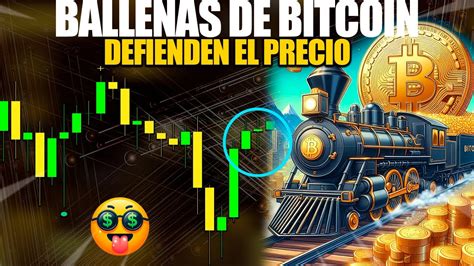 Bitcoin Ballenas Defienden Al Precio Pronostico Bitcoin Hoy Espa Ol