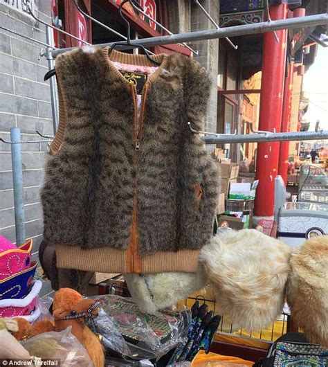 Cat Fur Waistcoats Available At Chinese Market Alongside Tiger Claws Daily Mail Online