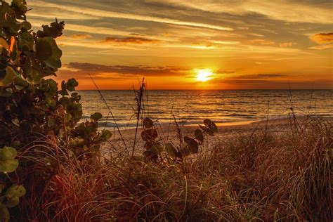 Sunrise At Melbourne Beach Florida I Started Using My New Flickr