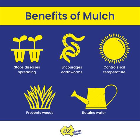 Benefits Of Mulching Your Gardens Oz Landscape Supplies