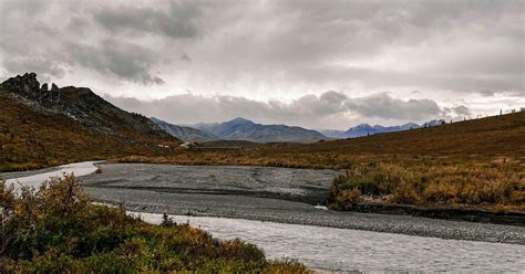 Ancient Ecosystem Filled With Dinosaur Tracks Found in Alaska