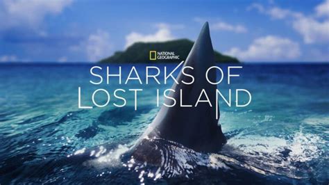 25 Best Shark Movies on Disney+ To Stream Right Now