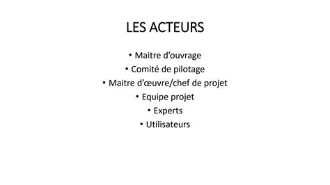 Solution Initiation La Gestion De Projet Studypool