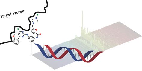 Dna Encoded Chemical Libraries Advancing Beyond Conventional Small Molecule Libraries