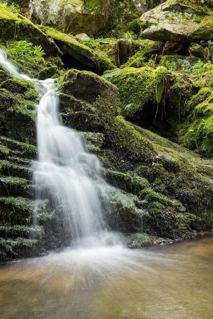 Premium Photo | Waterfall from ravine