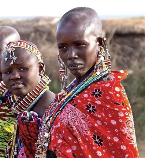 Maasai Beauty Stock Images Free Amazing Photography Women