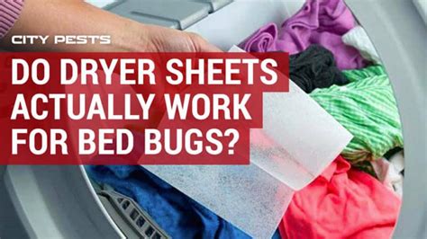 Can you get rid of bed bugs with dryer sheets? CORRECT ANSWER