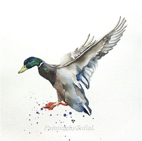 148 best Watercolor Ducks images on Pinterest | Water colors, Drawings ...