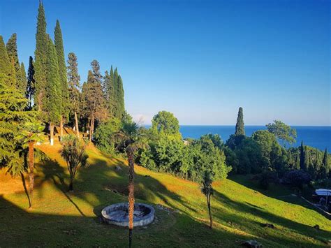 Пицунда природа (59 фото) - 59 фото