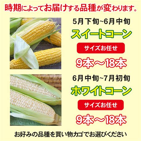 【楽天市場】【5月下旬発送】 【 長崎県産 スイートコーン ホワイトコーン 約45kg 】送料無料 とうもろこし スイートコーン