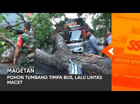 MAGETAN Pohon Tumbang Timpa Bus Lalu Lintas Macet YouTube