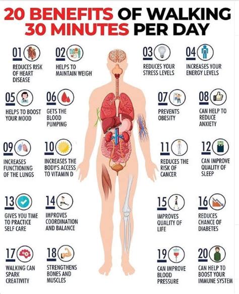 Benefits of Walking 30 Minutes Per Day - by Chance Finucane