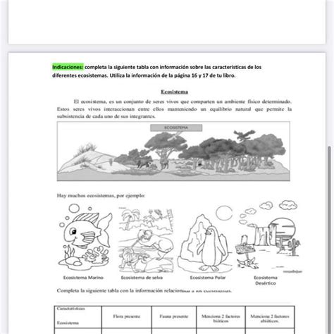 ¿qué Son Y Cómo Funcionan Los Ecosistemasayuda Llevo Haciendo Mucha Tarea Estoy Tan Cansada