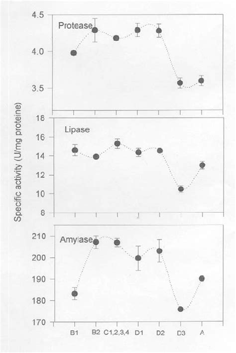 Variaciones de las actividades enzimáticas digestivas durante la