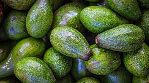 El Superpeso Tira Las Ventas De Aguacate De Exportaci N