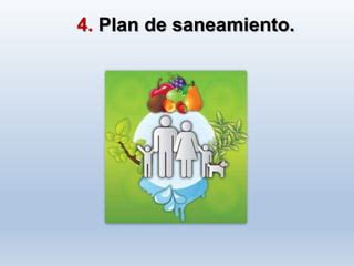 Plan De Saneamiento Ppt