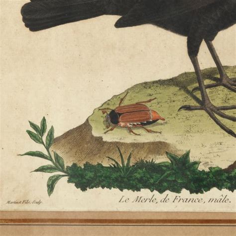 François Nicolas Martinet French circa 1725 1804 Two Bird