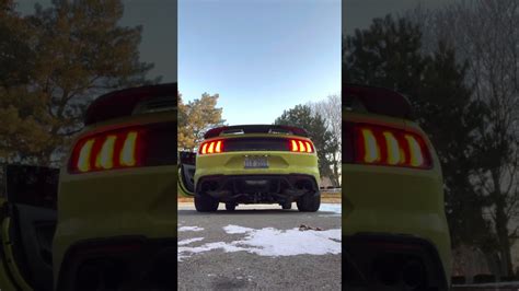 Fbo E Mustang Gt Super Cold Start F Outside Youtube