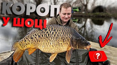 Ловля КОРОПА на ФЛЕТ ФІДЕР! Команада Puhach Baits відкриває сезон ...