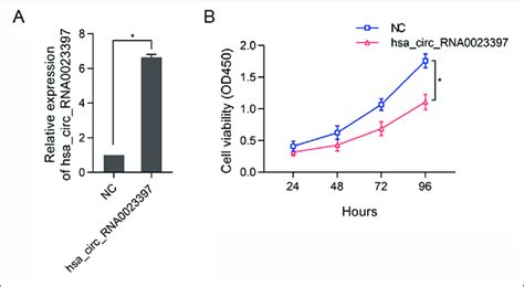 The Effect Of Overexpressed Hsa Circ RNA0023397 On The Proliferation Of