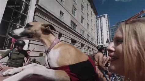 Wtf Youtube Nude Video On YouTube Nudeleted