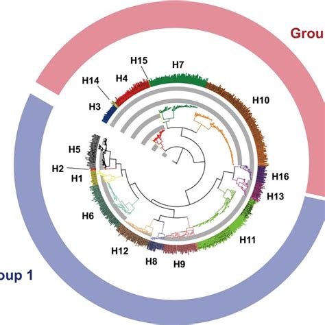 Hemagglutinin head and stem and their conserved regions. Structure view ...