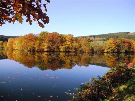 Free Images Landscape Tree Nature Morning Leaf Flower Lake