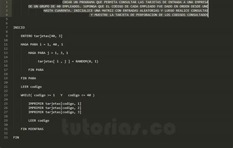 Arreglos Pseudocodigo Consulta Tarjeta De Perforacion Tutorias Co