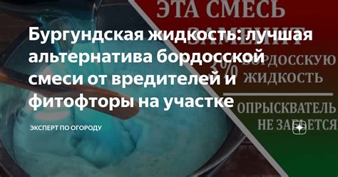 Бургундская жидкость: лучшая альтернатива бордосской смеси от ...