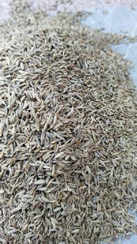 Black Organic Cumin Seed Packaging Type Loose At Rs 200 Kg In Guwahati