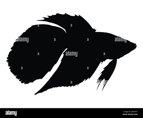 Betta Fish Silhouette Vector Art White Background Stock Vector Image