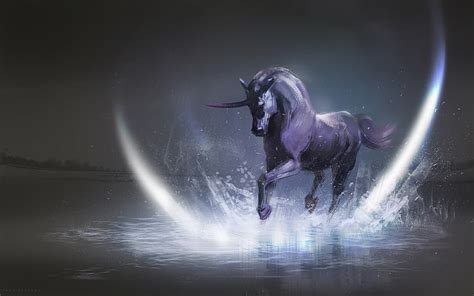 Unicorn 1080p 2k 4k 5k Hd Wallpapers Free Download Wallpaper Flare