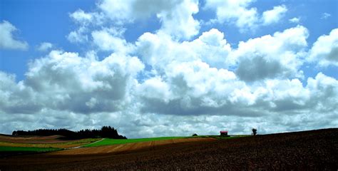 Scenery Of Biei Hokkaido Stock Photo - Download Image Now ...