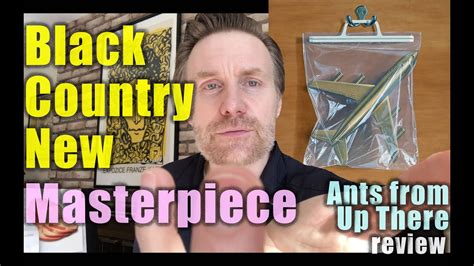 How And Why Ants From Up There Is A Masterpiece Black Country New