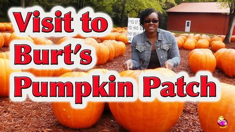 Field Trip To The Pumpkin Patch Littlestorybug Youtube